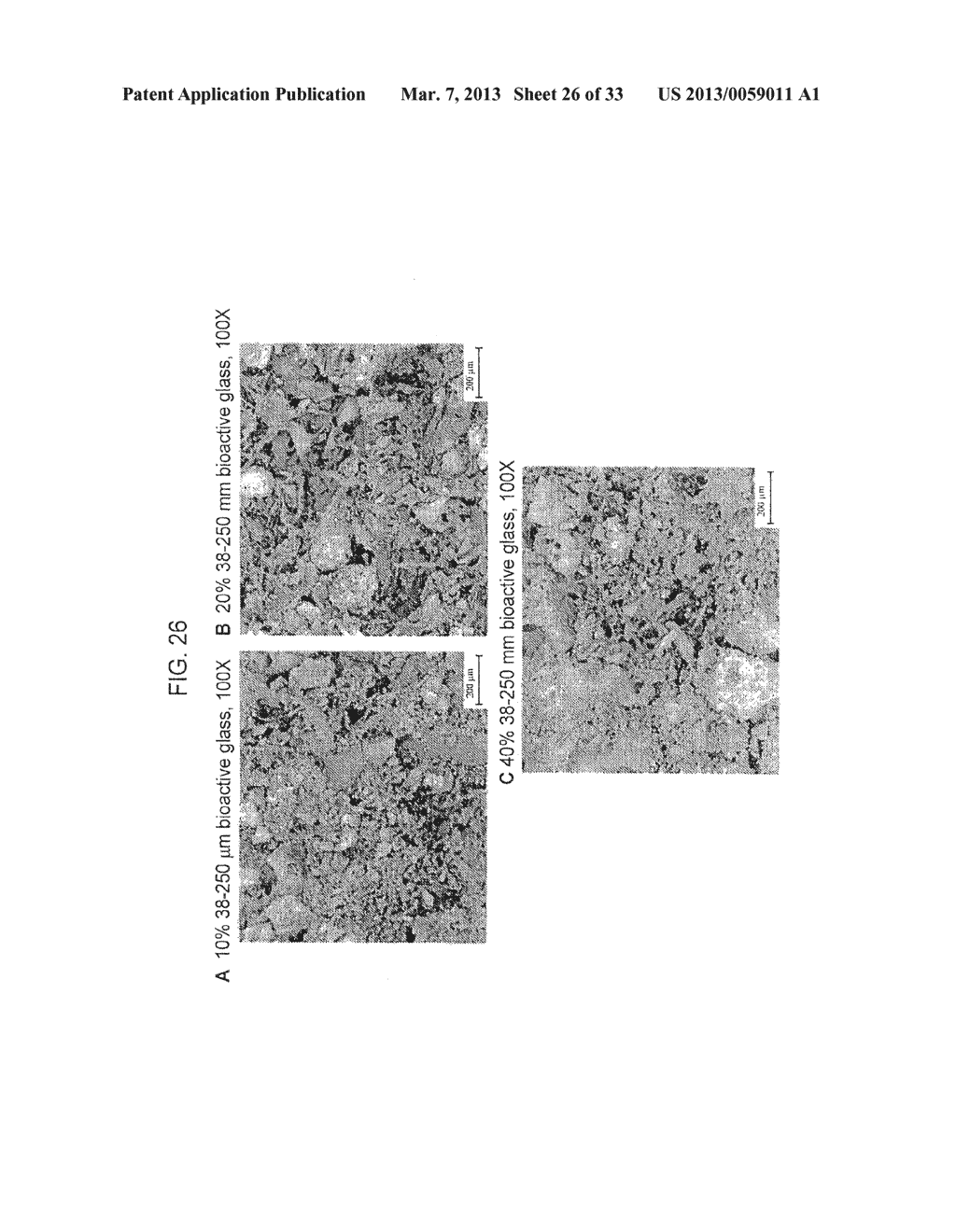 BIOACTIVE BONE GRAFT SUBSTITUTE - diagram, schematic, and image 27