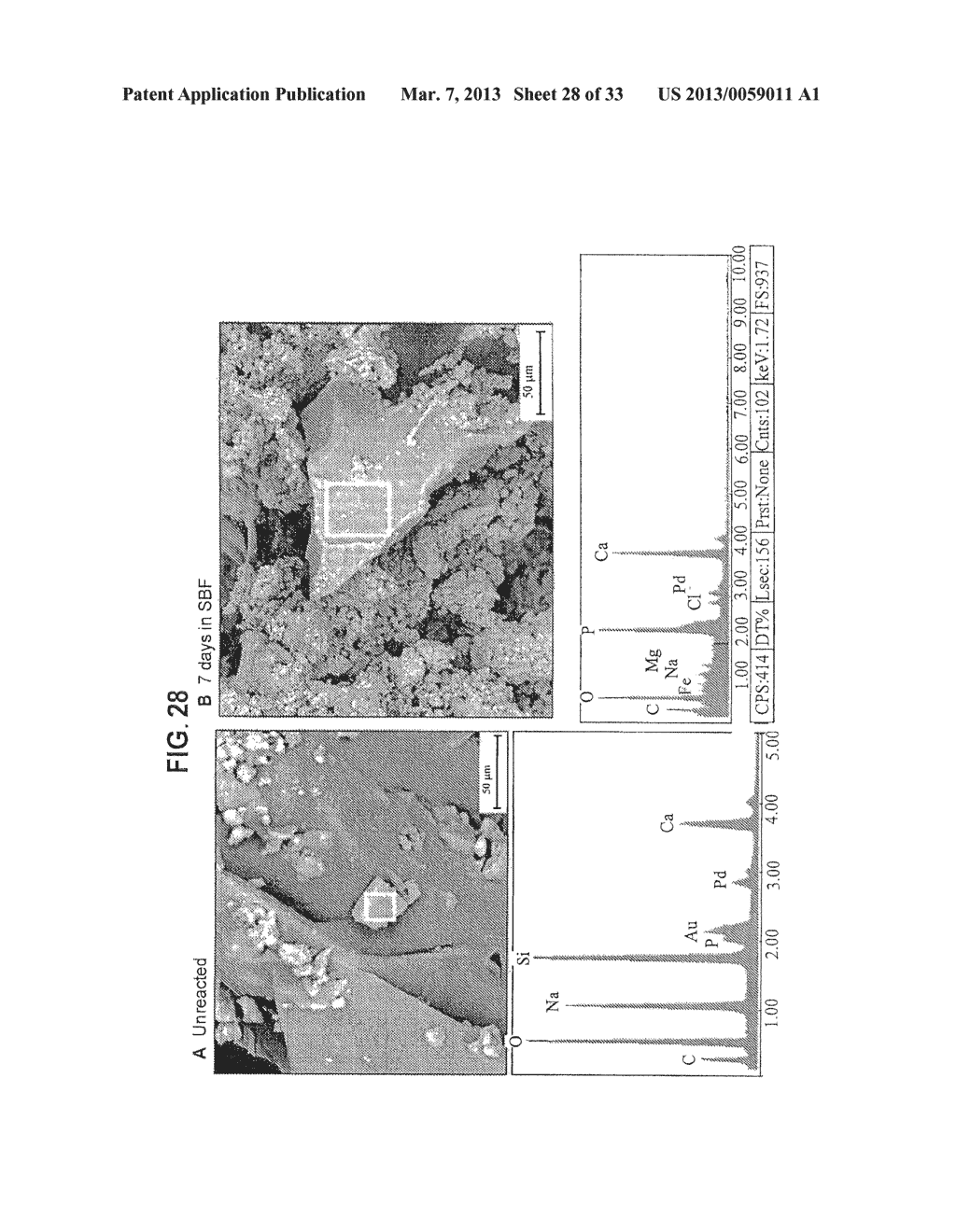 BIOACTIVE BONE GRAFT SUBSTITUTE - diagram, schematic, and image 29