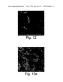 INJECTABLE OSTEOINDUCTIVE BONE CEMENTS diagram and image