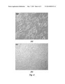 FLAME SPRAY SYNTHESIS OF Lu2O3 NANOPARTICLES diagram and image