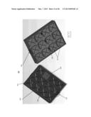 Large Format Electrochemical Energy Storage Device Housing and Module diagram and image