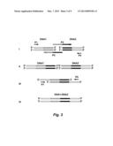 ARTIFICIAL ENTROPIC BRISTLE DOMAIN SEQUENCES AND THEIR USE IN RECOMBINANT     PROTEIN PRODUCTION diagram and image