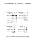 ARTIFICIAL ENTROPIC BRISTLE DOMAIN SEQUENCES AND THEIR USE IN RECOMBINANT     PROTEIN PRODUCTION diagram and image