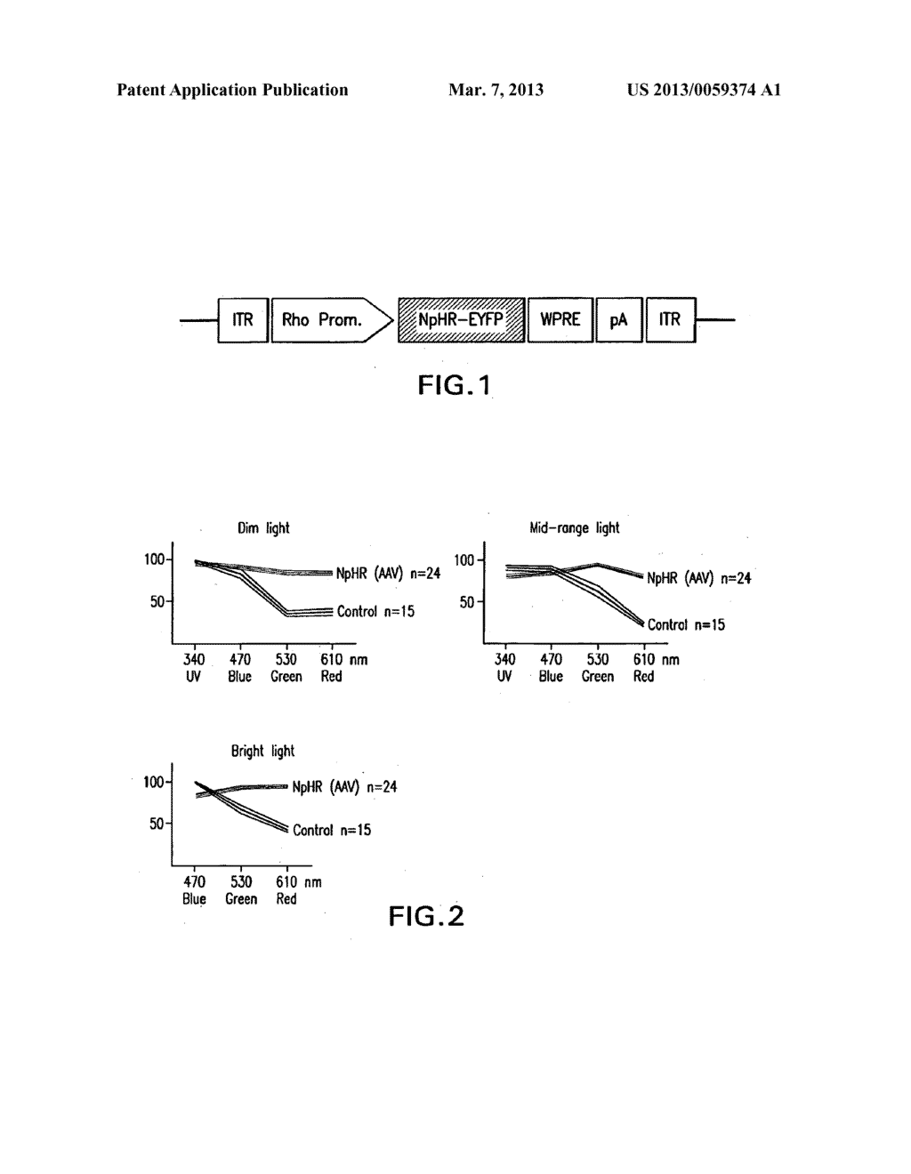 Novel Therapeutical Tools and Methods for Treating Blindness - diagram, schematic, and image 02