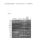 INDUCED PLURIPOTENT STEM CELLS PRODUCED WITH OCT3/4, KLF AND SOX diagram and image