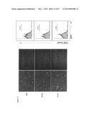 INDUCED PLURIPOTENT STEM CELLS PRODUCED WITH OCT3/4, KLF AND SOX diagram and image