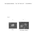 INDUCED PLURIPOTENT STEM CELLS PRODUCED WITH OCT3/4, KLF AND SOX diagram and image