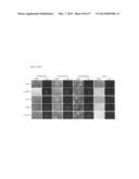 INDUCED PLURIPOTENT STEM CELLS PRODUCED WITH OCT3/4, KLF AND SOX diagram and image