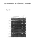 INDUCED PLURIPOTENT STEM CELLS PRODUCED WITH OCT3/4, KLF AND SOX diagram and image