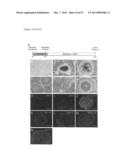 INDUCED PLURIPOTENT STEM CELLS PRODUCED WITH OCT3/4, KLF AND SOX diagram and image