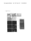 INDUCED PLURIPOTENT STEM CELLS PRODUCED WITH OCT3/4, KLF AND SOX diagram and image