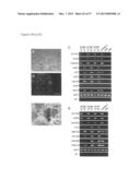 INDUCED PLURIPOTENT STEM CELLS PRODUCED WITH OCT3/4, KLF AND SOX diagram and image