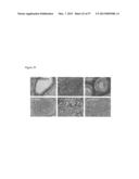 INDUCED PLURIPOTENT STEM CELLS PRODUCED WITH OCT3/4, KLF AND SOX diagram and image