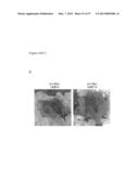 INDUCED PLURIPOTENT STEM CELLS PRODUCED WITH OCT3/4, KLF AND SOX diagram and image