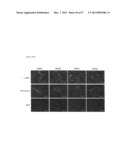 INDUCED PLURIPOTENT STEM CELLS PRODUCED WITH OCT3/4, KLF AND SOX diagram and image