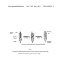 TEST PIECE FOR HEAVY METAL ION, PROCESS FOR DETECTING HEAVY METAL ION, KIT     AND SENSOR diagram and image