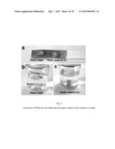 TEST PIECE FOR HEAVY METAL ION, PROCESS FOR DETECTING HEAVY METAL ION, KIT     AND SENSOR diagram and image