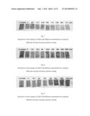 TEST PIECE FOR HEAVY METAL ION, PROCESS FOR DETECTING HEAVY METAL ION, KIT     AND SENSOR diagram and image