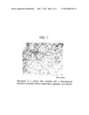 SILICON CARBIDE FIBER DISPERSION-REINFORCED COMPOSITE REFRACTORY MOLDING diagram and image