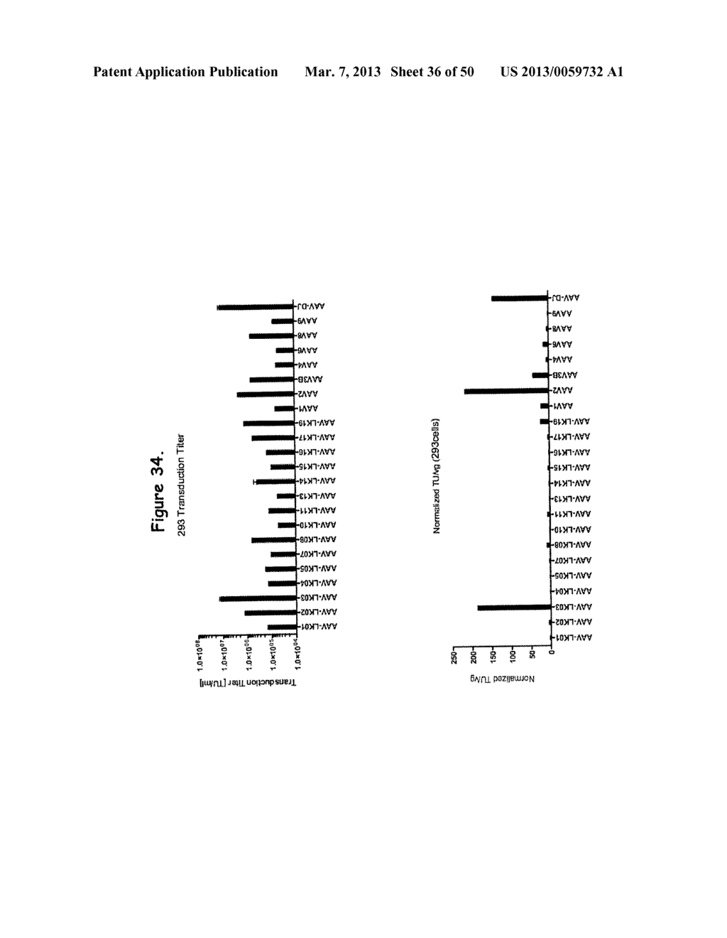 AAV CAPSID PROTEINS FOR NUCLEIC ACID TRANSFER - diagram, schematic, and image 37