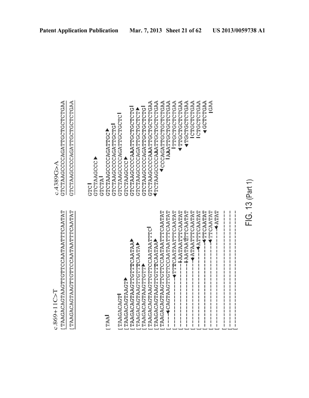 METHODS AND COMPOSITIONS FOR MULTIPLEX PCR - diagram, schematic, and image 22