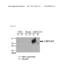 GENE FAMILY (LBFL313) ASSOCIATED WITH PANCREATIC CANCER diagram and image