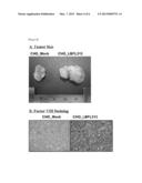 GENE FAMILY (LBFL313) ASSOCIATED WITH PANCREATIC CANCER diagram and image