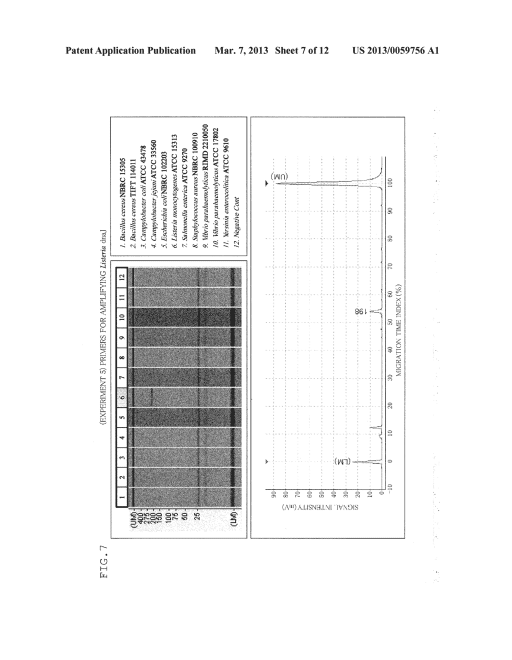 PRIMER SET FOR PCR, PEACTION LIQUID FOR PCR, AND METHOD FOR DETECTING FOOD     POISONING BACTERIA - diagram, schematic, and image 08