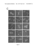 Novel Gene Targets Associated with Amyotrophic Lateral Sclerosis and     Methods of Use Thereof diagram and image