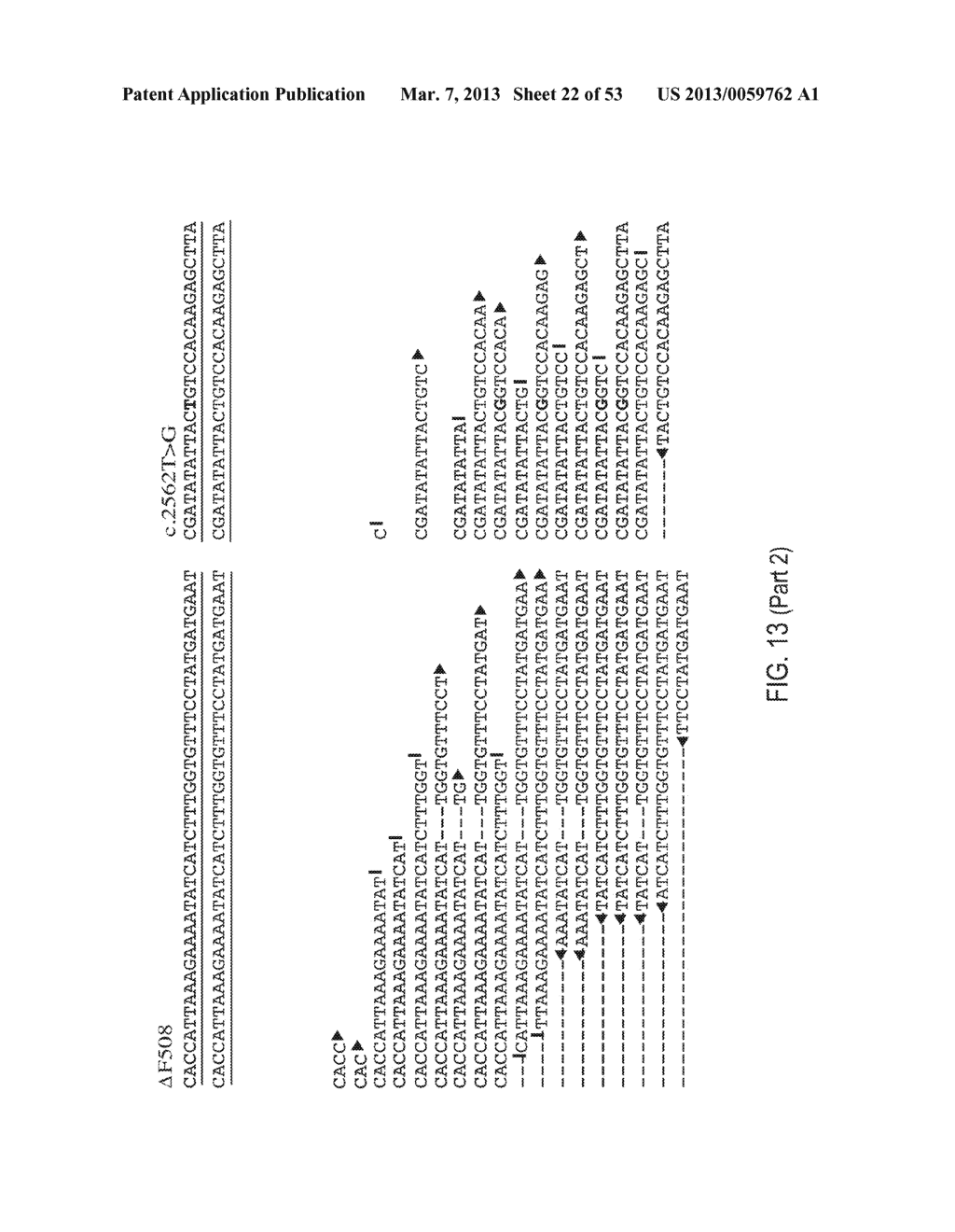 METHODS AND COMPOSITIONS FOR MULTIPLEX PCR - diagram, schematic, and image 23