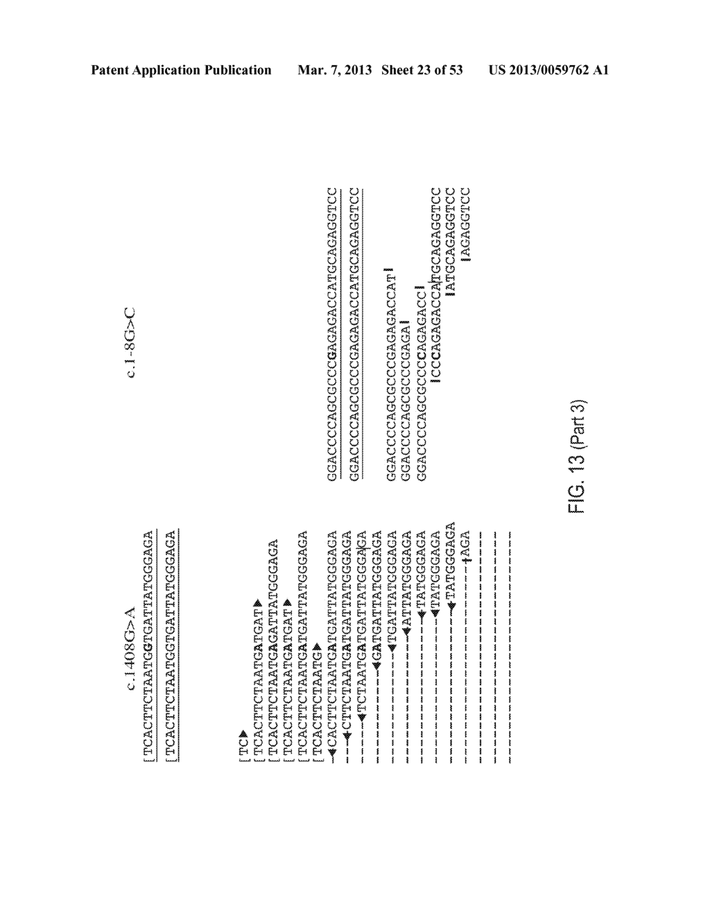 METHODS AND COMPOSITIONS FOR MULTIPLEX PCR - diagram, schematic, and image 24