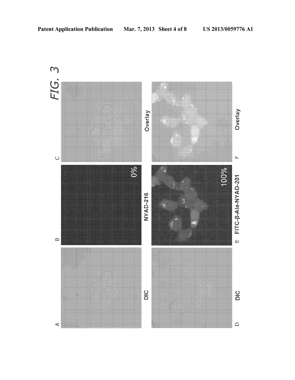 Antiviral Cell-Penetrating Peptides - diagram, schematic, and image 05