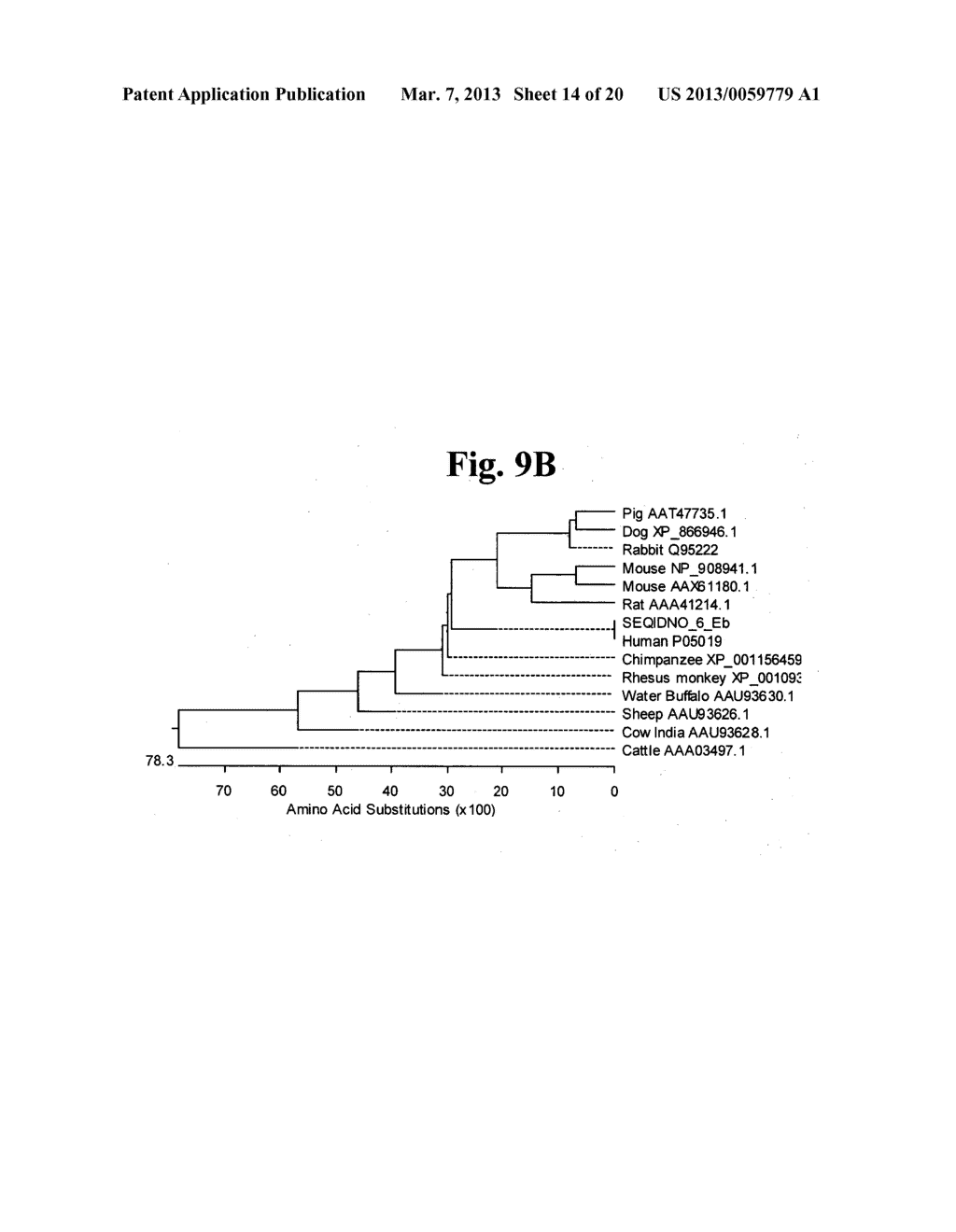 Stabilized Insulin-like Growth Factor Polypeptides - diagram, schematic, and image 15