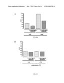 PHOSPHOLIPID-ENRICHED VESICLES BEARING TISSUE FACTOR HAVING HAEMOSTATIC     ACTIVITIES AND USES THEREOF diagram and image