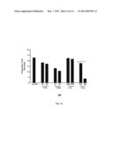 PHOSPHOLIPID-ENRICHED VESICLES BEARING TISSUE FACTOR HAVING HAEMOSTATIC     ACTIVITIES AND USES THEREOF diagram and image