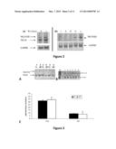 METHODS OF USING HUMAN PROTEIN KINASE C DELTA VIII AS A BIOMARKER diagram and image