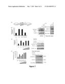 METHODS OF USING HUMAN PROTEIN KINASE C DELTA VIII AS A BIOMARKER diagram and image