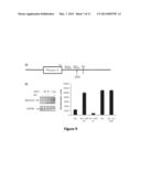 METHODS OF USING HUMAN PROTEIN KINASE C DELTA VIII AS A BIOMARKER diagram and image