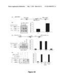 METHODS OF USING HUMAN PROTEIN KINASE C DELTA VIII AS A BIOMARKER diagram and image