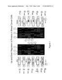 Traceability of Cellular Cycle Ano diagram and image