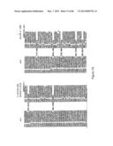 Traceability of Cellular Cycle Ano diagram and image