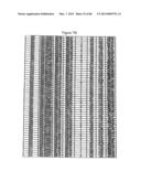 Traceability of Cellular Cycle Ano diagram and image