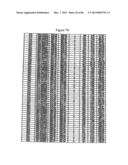 Traceability of Cellular Cycle Ano diagram and image