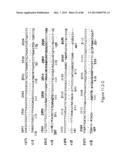 Traceability of Cellular Cycle Ano diagram and image