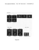 Traceability of Cellular Cycle Ano diagram and image