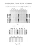 Traceability of Cellular Cycle Ano diagram and image