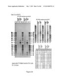 Traceability of Cellular Cycle Ano diagram and image