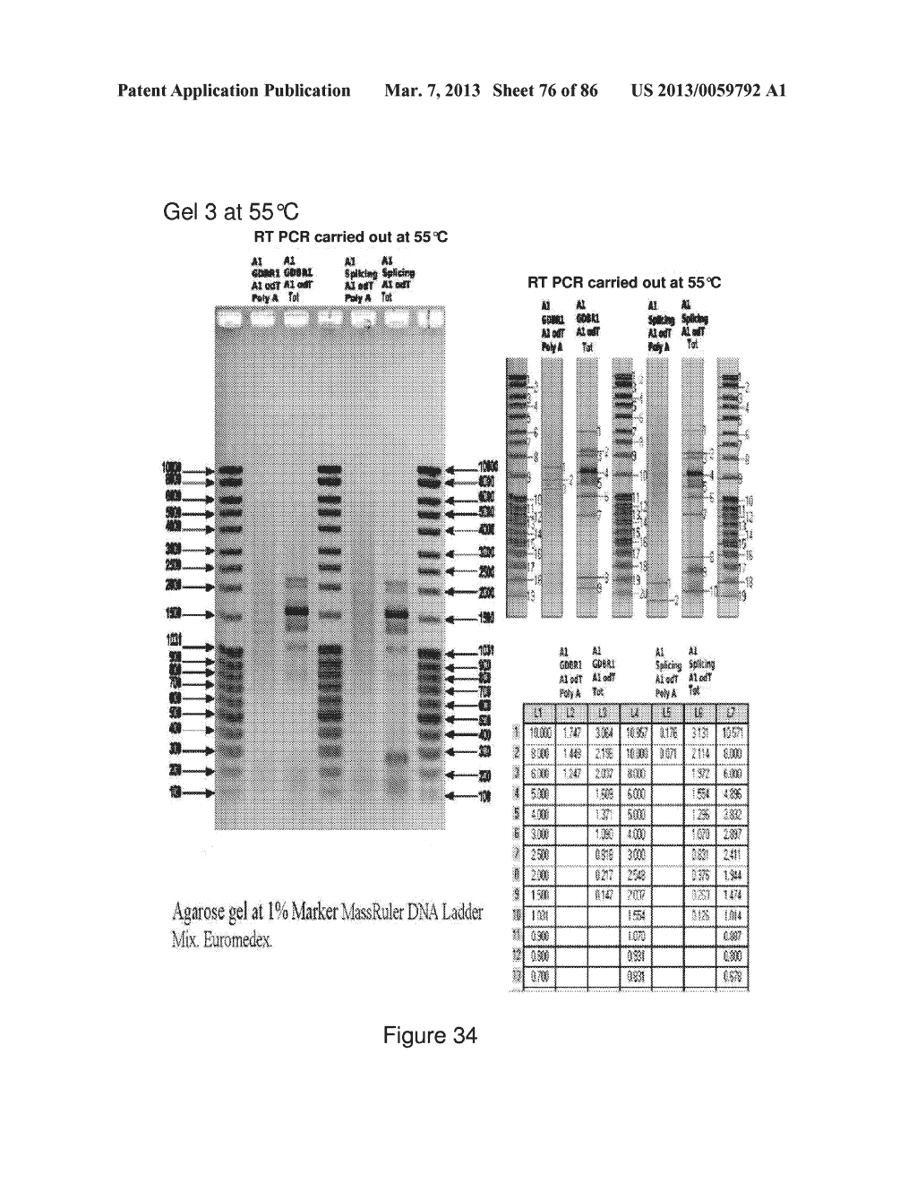 Traceability of Cellular Cycle Ano - diagram, schematic, and image 77