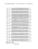 Traceability of Cellular Cycle Ano diagram and image