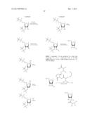 BORON-CONTAINING SMALL MOLECULES diagram and image